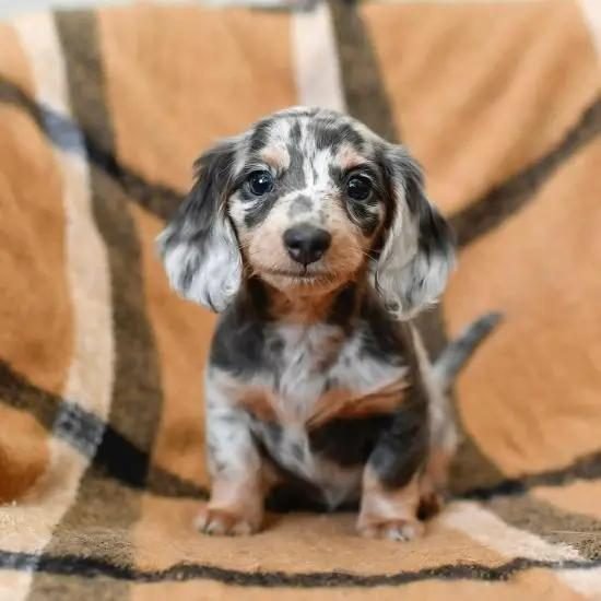 WhatsApp Image 2025-05-10 at 08.47.24 (13)