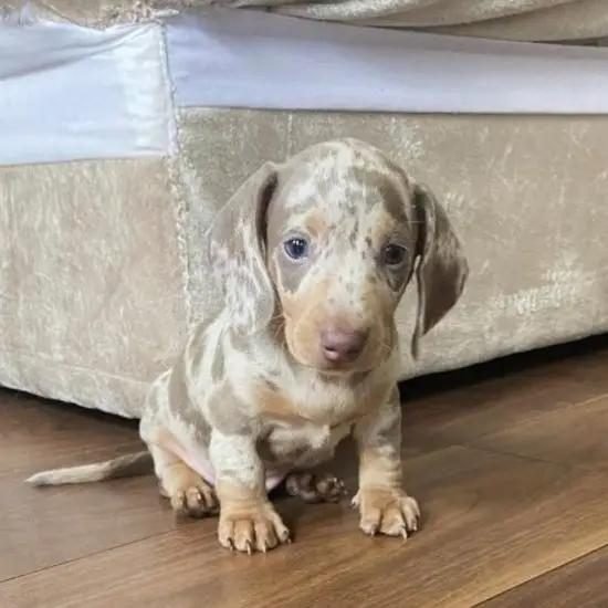 WhatsApp Image 2025-05-10 at 08.47.24 (2)