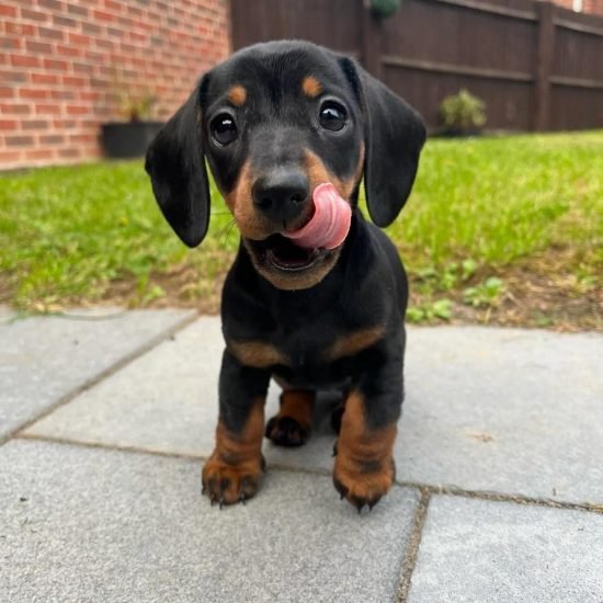 WhatsApp Image 2025-05-20 at 09.14.16