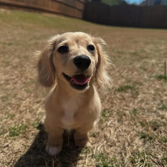 WhatsApp Image 2025-05-20 at 10.40.53 (1)