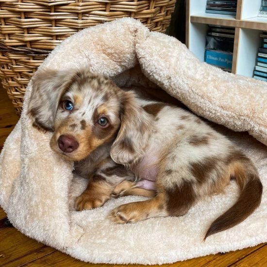 WhatsApp Image 2025-09-03 at 3.09.22 AM