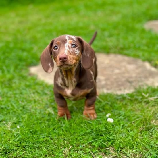 WhatsApp Image 2025-09-03 at 3.13.41 AM